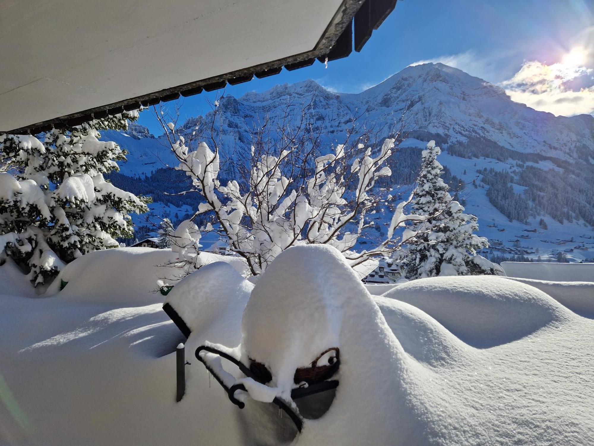 Chalet Gotthelf Gartenstudio, Ferien Mit Hund Adelboden Exterior photo
